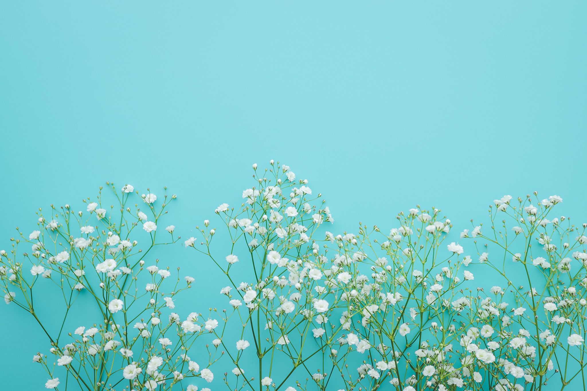 テキストテキストテキスト